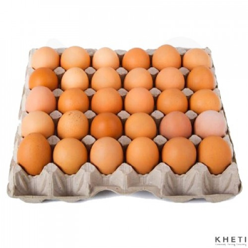 Eggs | अन्डा